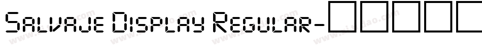 Salvaje Display Regular字体转换